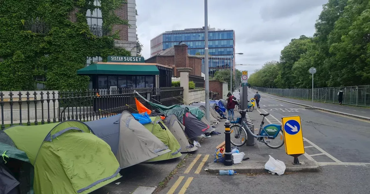 Number of tents at homeless asylum seeker encampment on Leeson Street ...