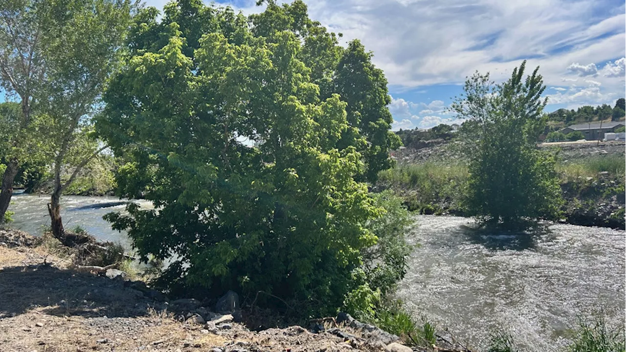 Swift water rescue crews successfully save boy who fell into Provo River