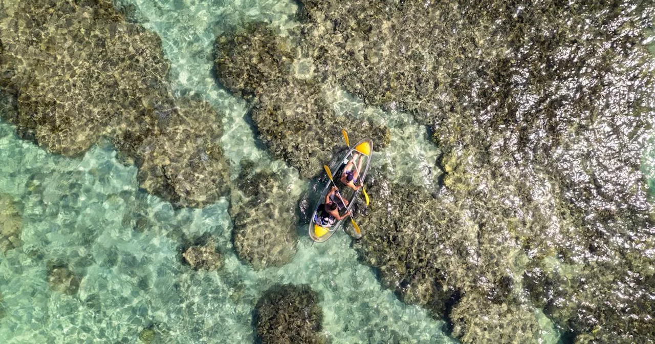 Plus de 20 pays signent une «déclaration de paix à l'océan», à un an d'une réunion clé de l'ONU