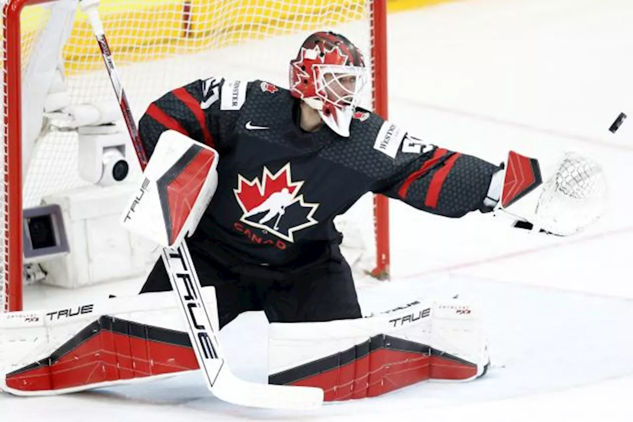 Un Tournoi des Quatre Nations avec des joueurs de NHL