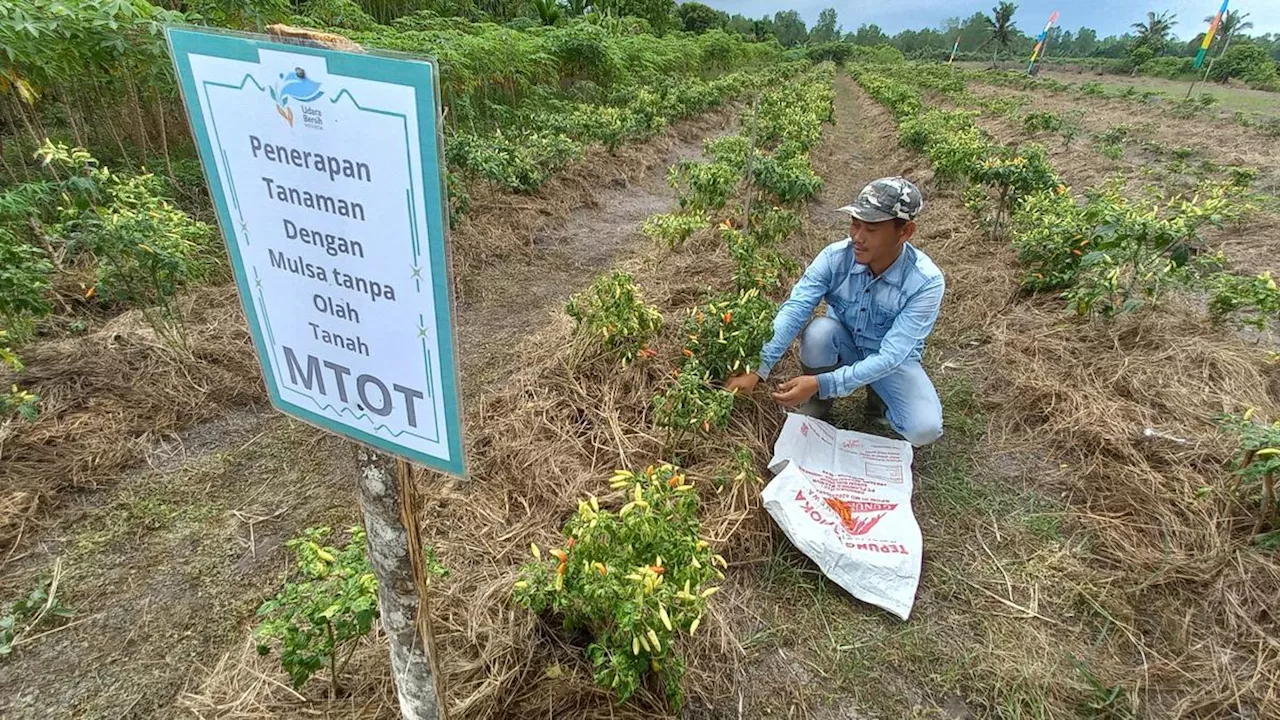 Menengok Pertanian Ramah Lingkungan di Pesisir Timur Jambi