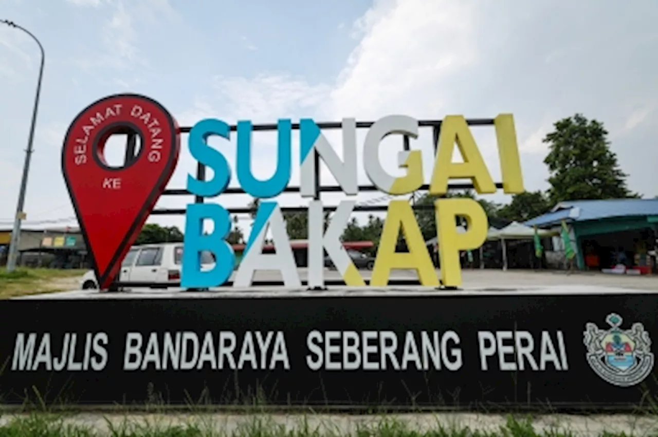 Sungai Bakap polls: Unity govt’s election machinery to be launched tonight, says Penang PKR