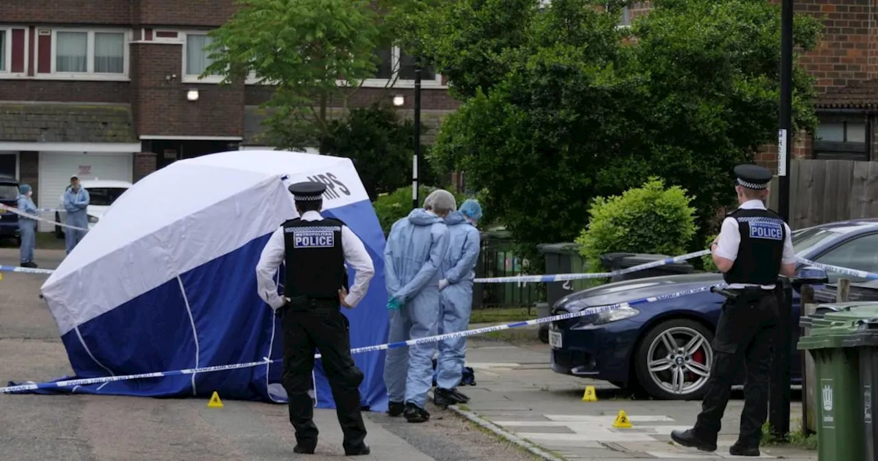 Man dies in London after he was stabbed multiple times