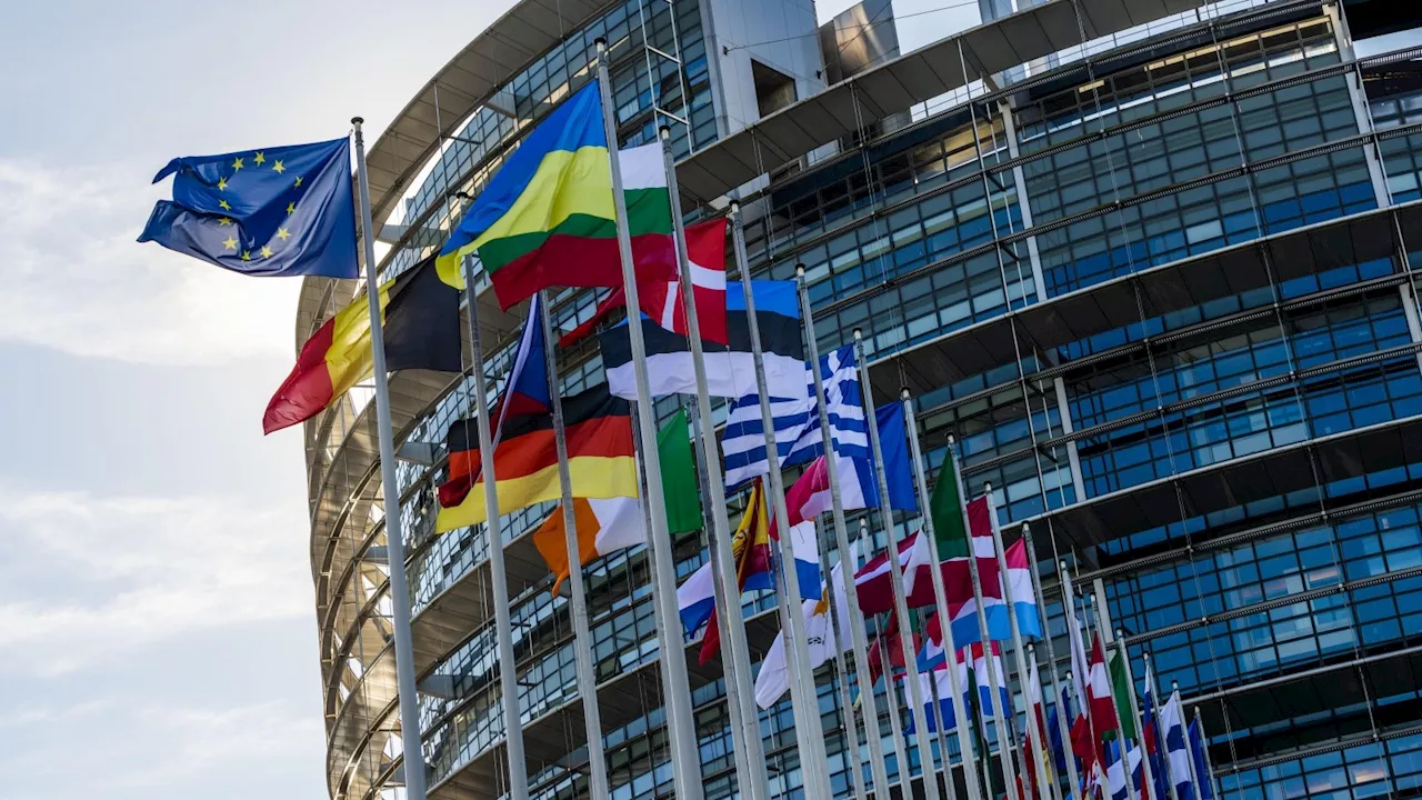 Von A bis Z: Was Sie jetzt über die Europawahl wissen müssen