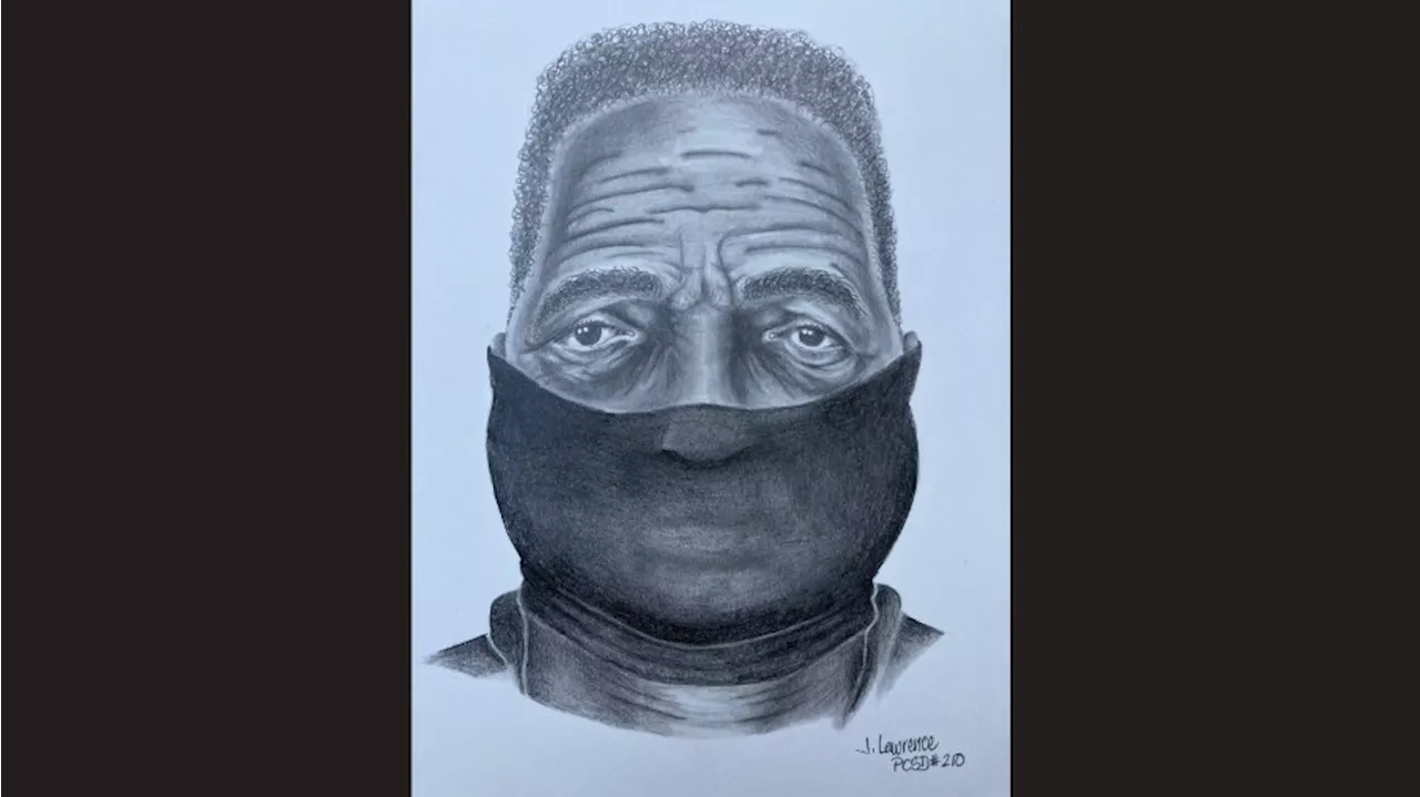 Sheriffs in Pierce County release sketch of wanted rape suspect