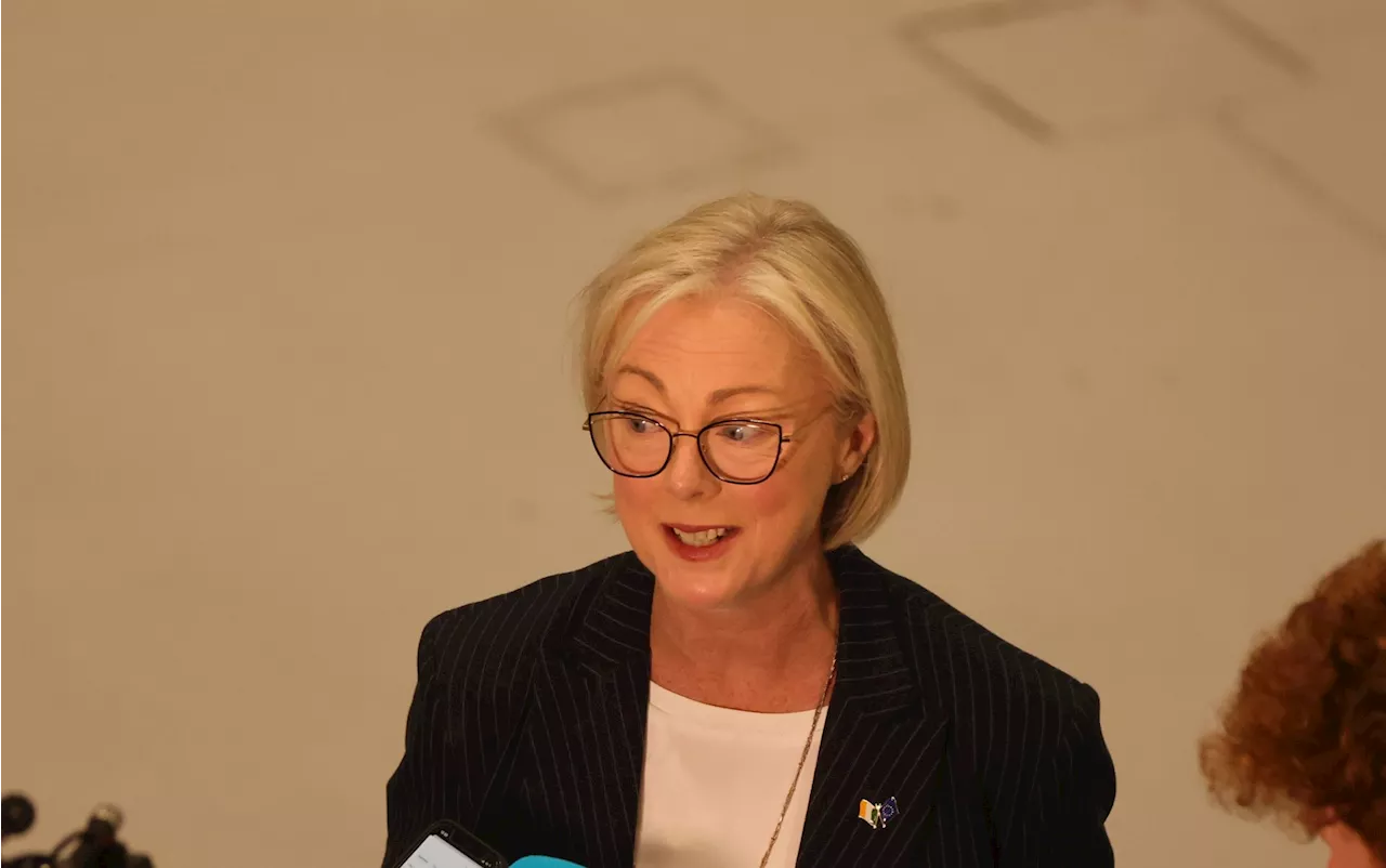 Regina Doherty: 'I'll give it my all' in Brussels for the people of Dublin