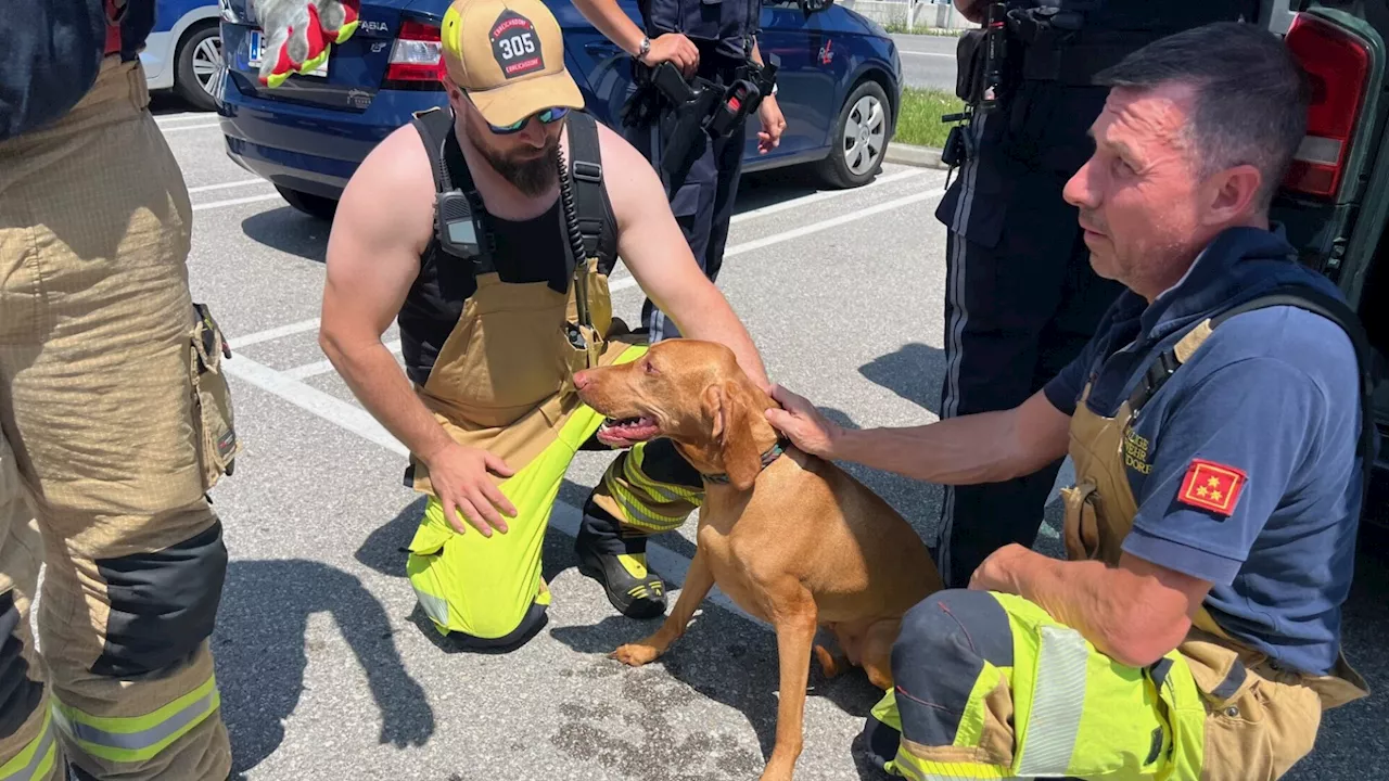 Fast 30 Grad: Polizei und Feuerwehr befreiten Hund aus Pkw