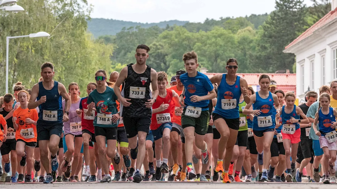 Über 800 Läufer waren beim Sommernachtslauf in Bad Fischau dabei