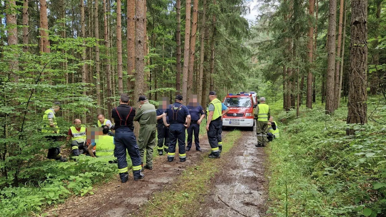 Wildkamera sei Dank! Vermisster von Feuerwehr rasch gefunden