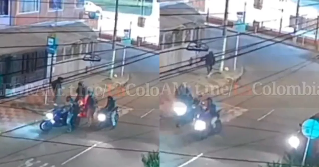 Video: ladrones intentaron robar a motociclista en Bogotá pero este “no se dejó”