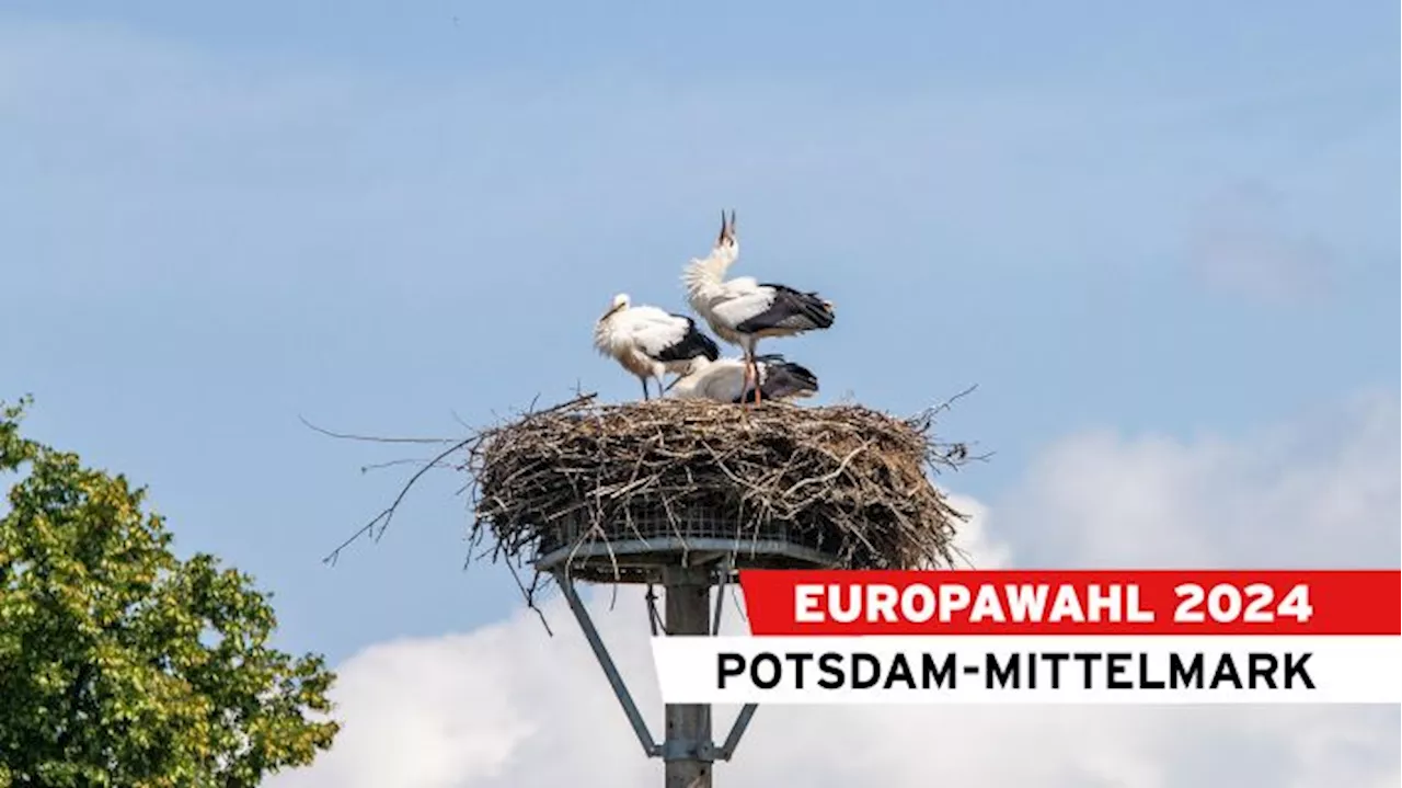 Potsdam-Mittelmark