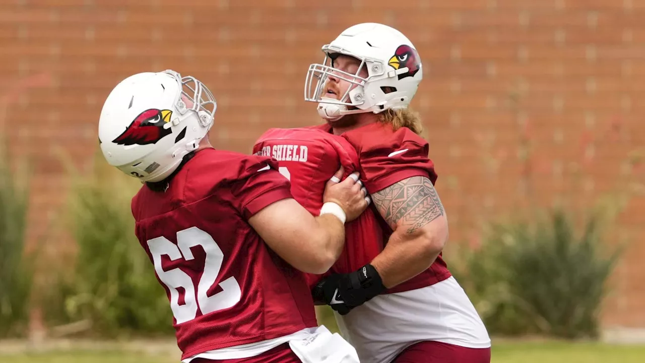 Arizona Cardinals May Have Found Final Piece on OL