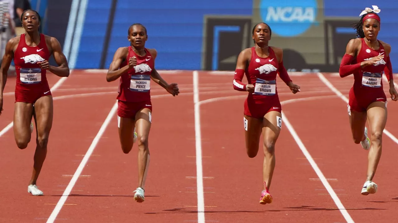 Even casual Razorbacks fans noticed impressive women's 400