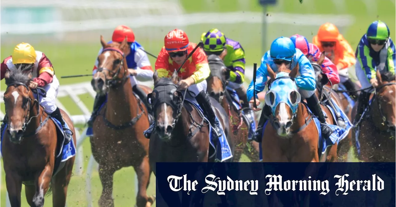 Race-by-race preview and tips for Canterbury on Monday