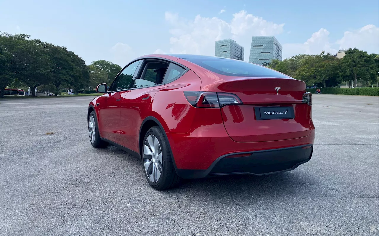 Tesla Model Y 'Juniper' launching soon? Elon Musk responds