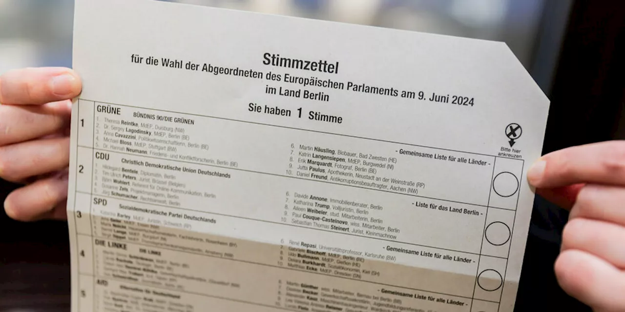 Mini-Parteien bei der Europawahl: Achtungserfolge für Kleine