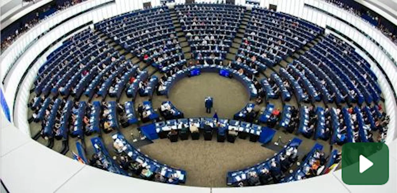 Elezioni europee, tutti gli aggiornamenti