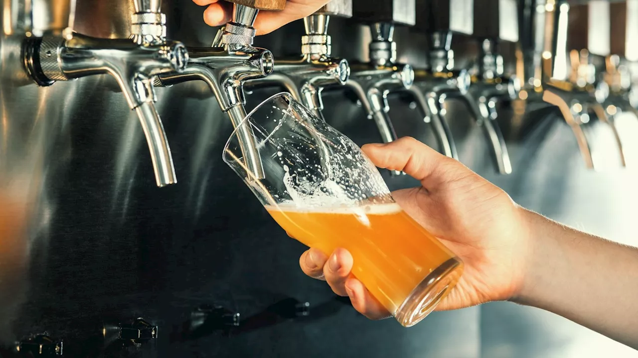 Pub-goers’ favourite draught beers could vanish under plans to force landlords to serve zero-alcohol p...