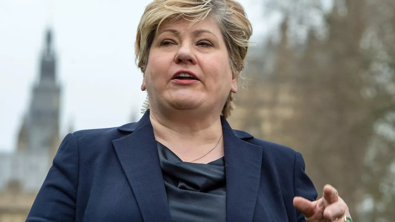 Pupils face bigger classes under Labour’s school tax plan, admits Emily Thornberry...