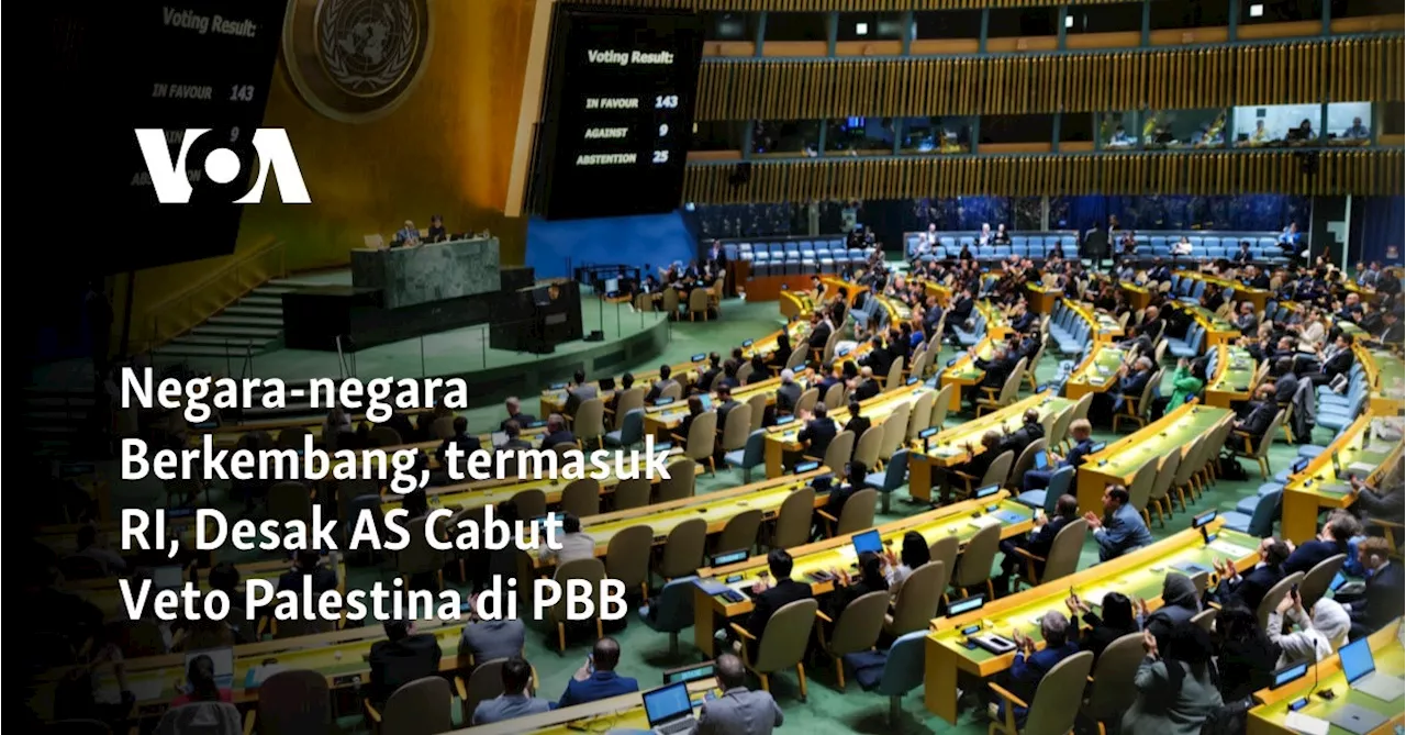 Negara-negara Berkembang, termasuk RI, Desak AS Cabut Veto Palestina di PBB