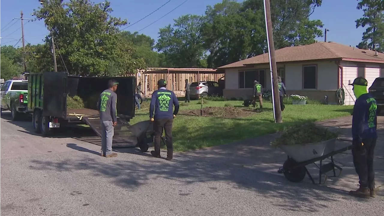 'I can sit back and watch things grow' | Elderly Texas couple gifted ...