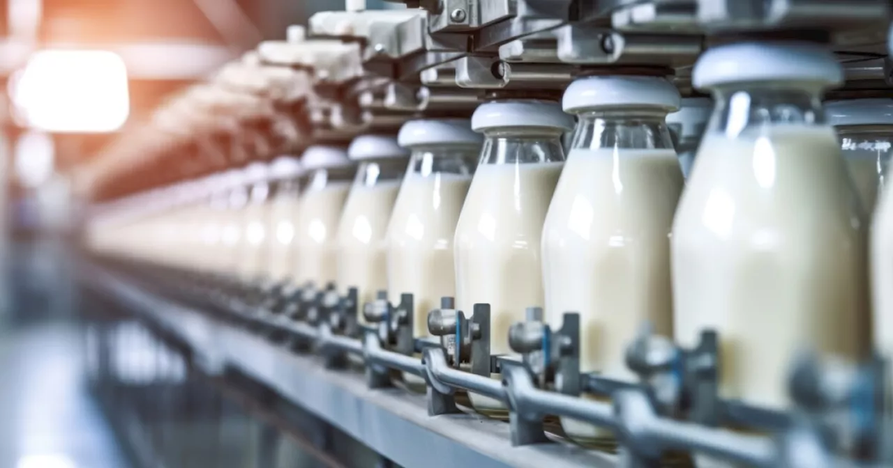 Pasteurization completely inactivates bird flu from raw milk, FDA says