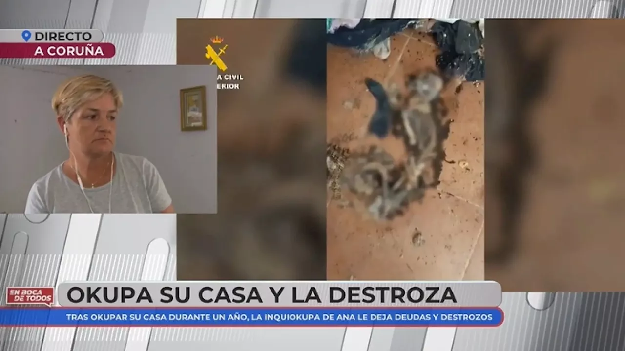 Recupera su casa tras una inquiokupación, pero está llena de animales muertos, heces, ratas...: 'El olor se mete en la garganta'