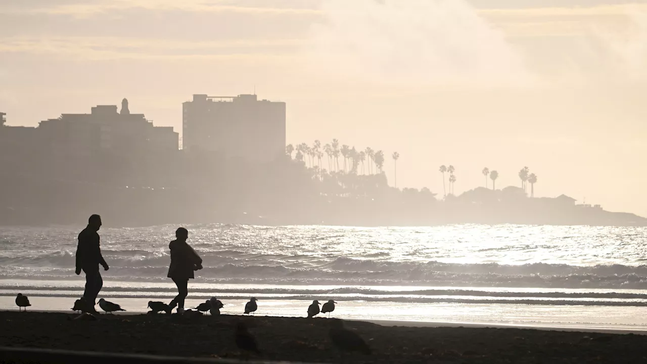 High levels of bacteria in water lead to multiple beach closures across the US