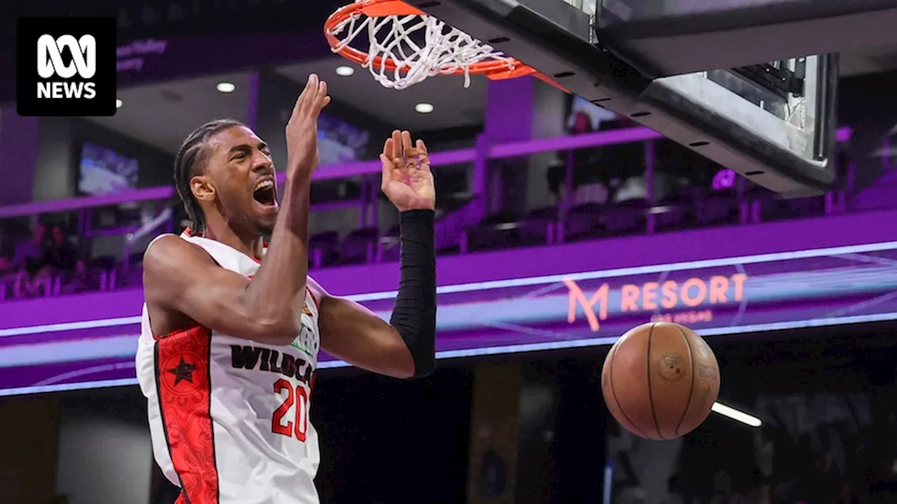 How Alex Sarr's year with Perth Wildcats prepared him for the NBA as NBL Next Stars program's latest win