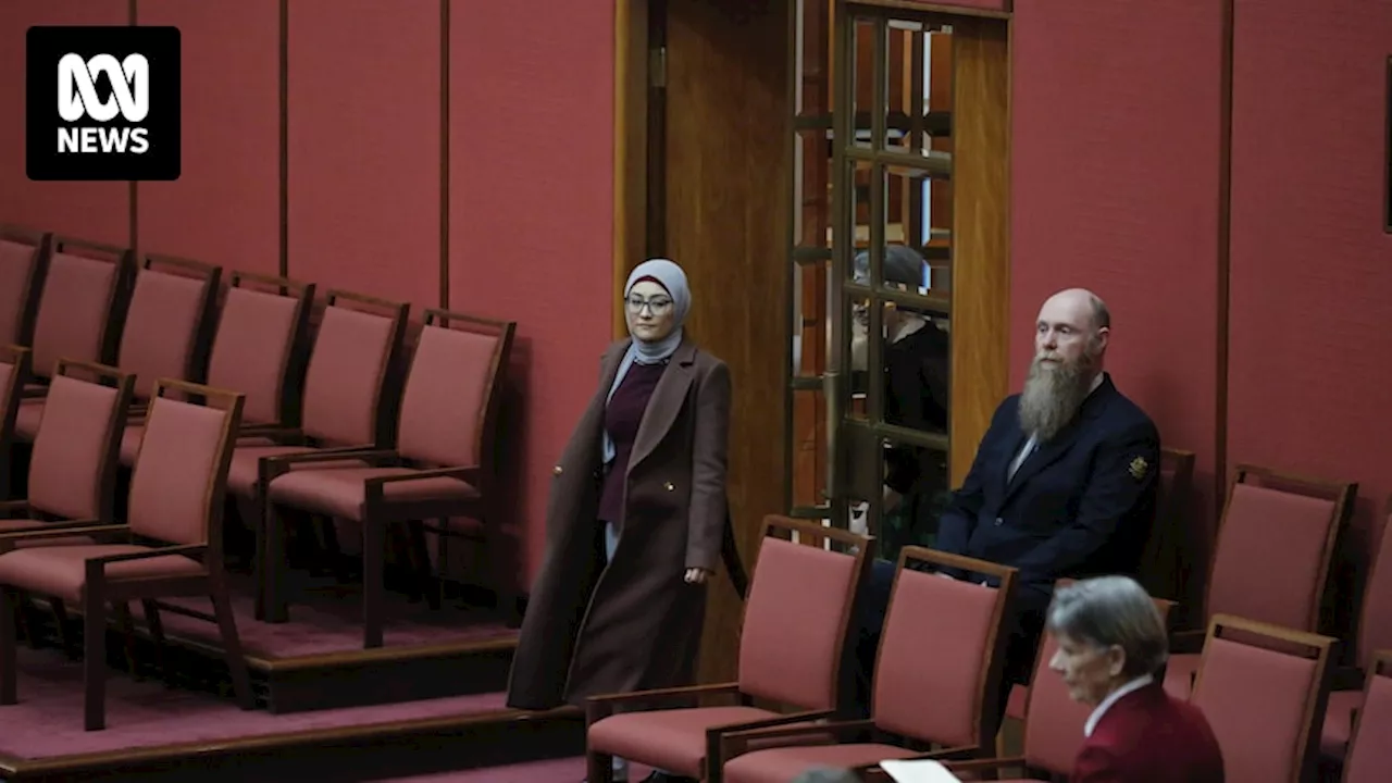 'Teal-style' Muslim political group to target Labor seats, open to working with Fatima Payman