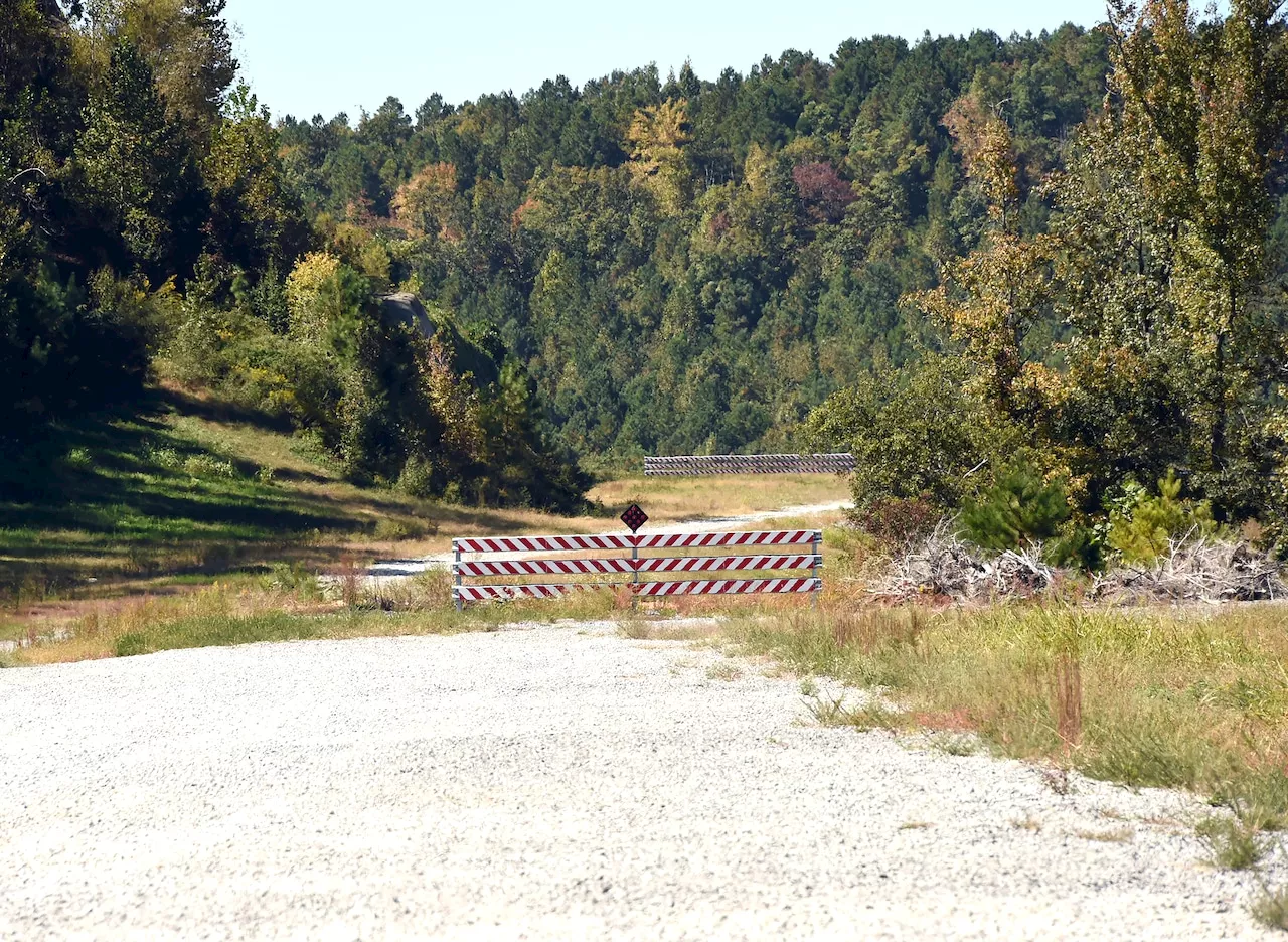 Beltline, hurricane, Underwater Forest, Miss Alabama: Down in Alabama