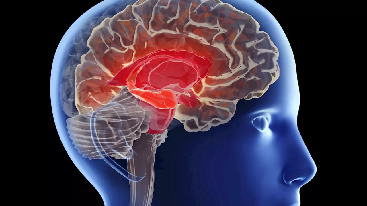 Parkinson: Symptome, Diagnose, Behandlungsmöglichkeiten