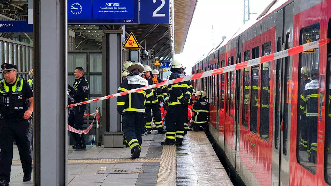 Unglück in Hamburg: Sehbehinderte Frau stürzt ins Gleis und wird von Zug überrollt