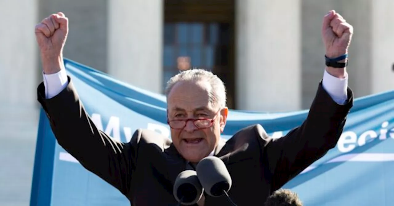 Schumer Bashes ‘MAGA SCOTUS’ After Historic Trump Immunity Decision