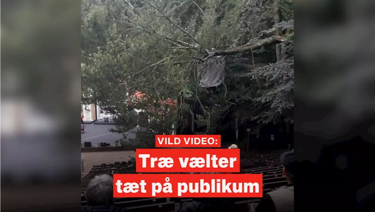 Vild Video Kæmpe Gren Faldt Ned Over Publikumsområde Ved Sommerspil Danmark Head Topics 