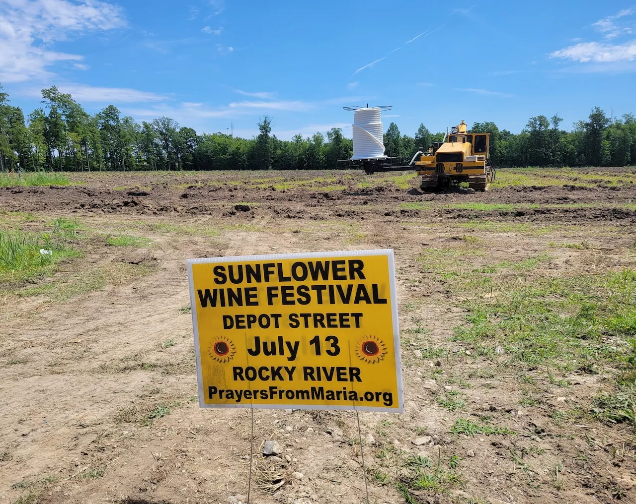 Preparations underway for new Prayers from Maria sunflower field