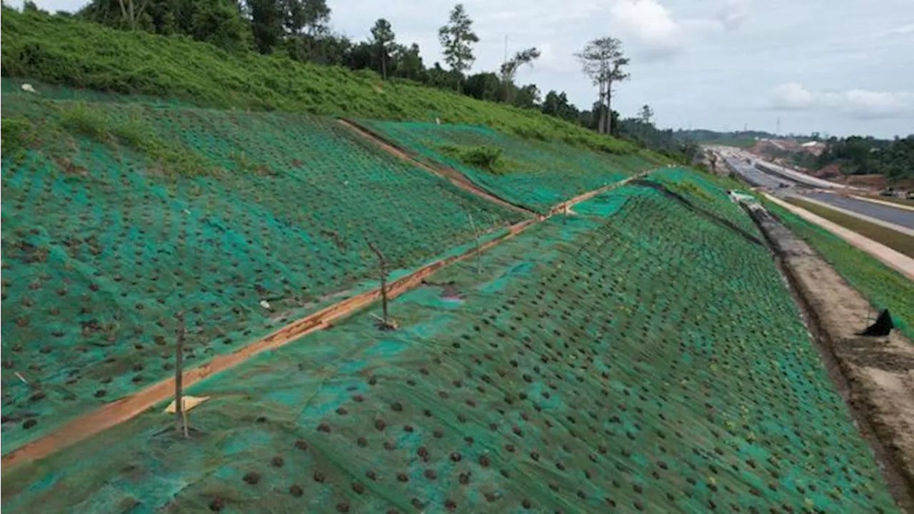 WIKA Sediakan Lahan di Jalan Tol IKN buat Ditanami Pohon Endemik Jawa