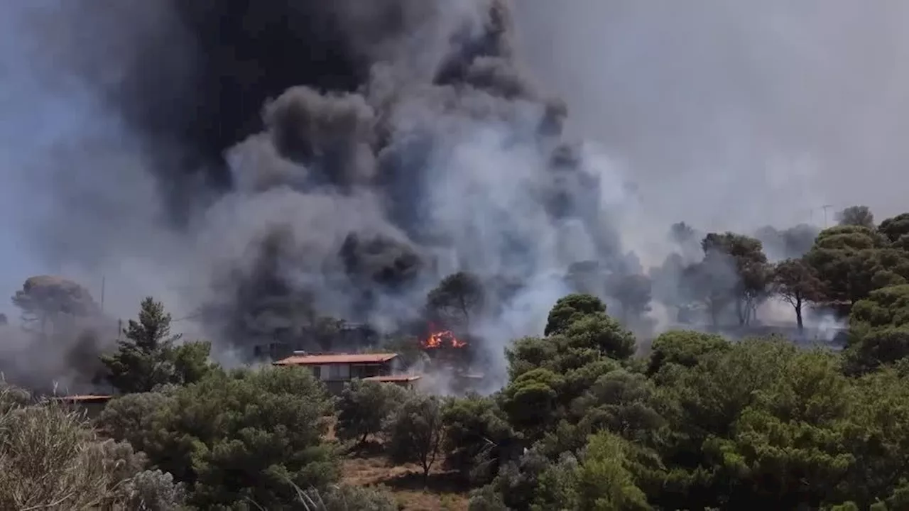 Incêndios florestais na Grécia se aproximam de Atenas