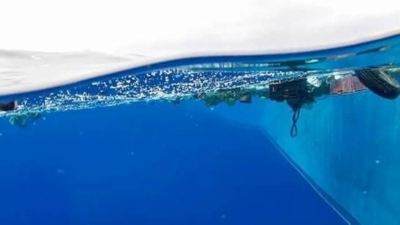 Scoperto un fungo marino che mangia la plastica della Great Pacific Garbage Patch