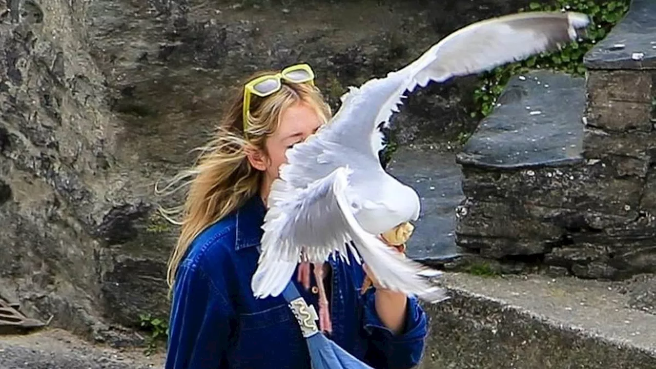 Resorts under siege by 'The Club'...of seagulls: Inside war between locals and 'epidemic' of birds