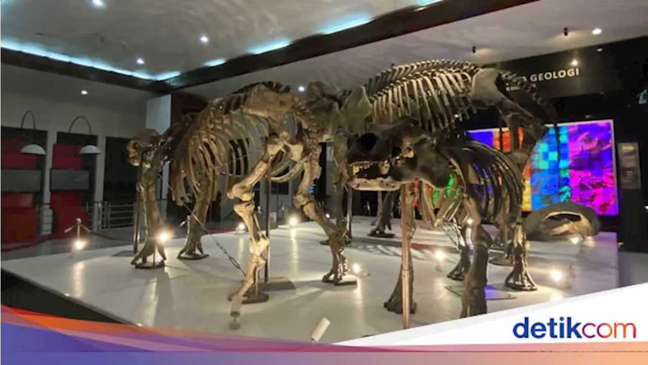 9 Rekomendasi Museum untuk Libur Sekolah Anak, Buruan Ajak Si Kecil!