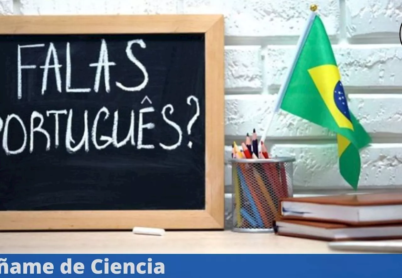 Aprende portugués desde cero con este curso en línea y GRATUITO con certificación oficial