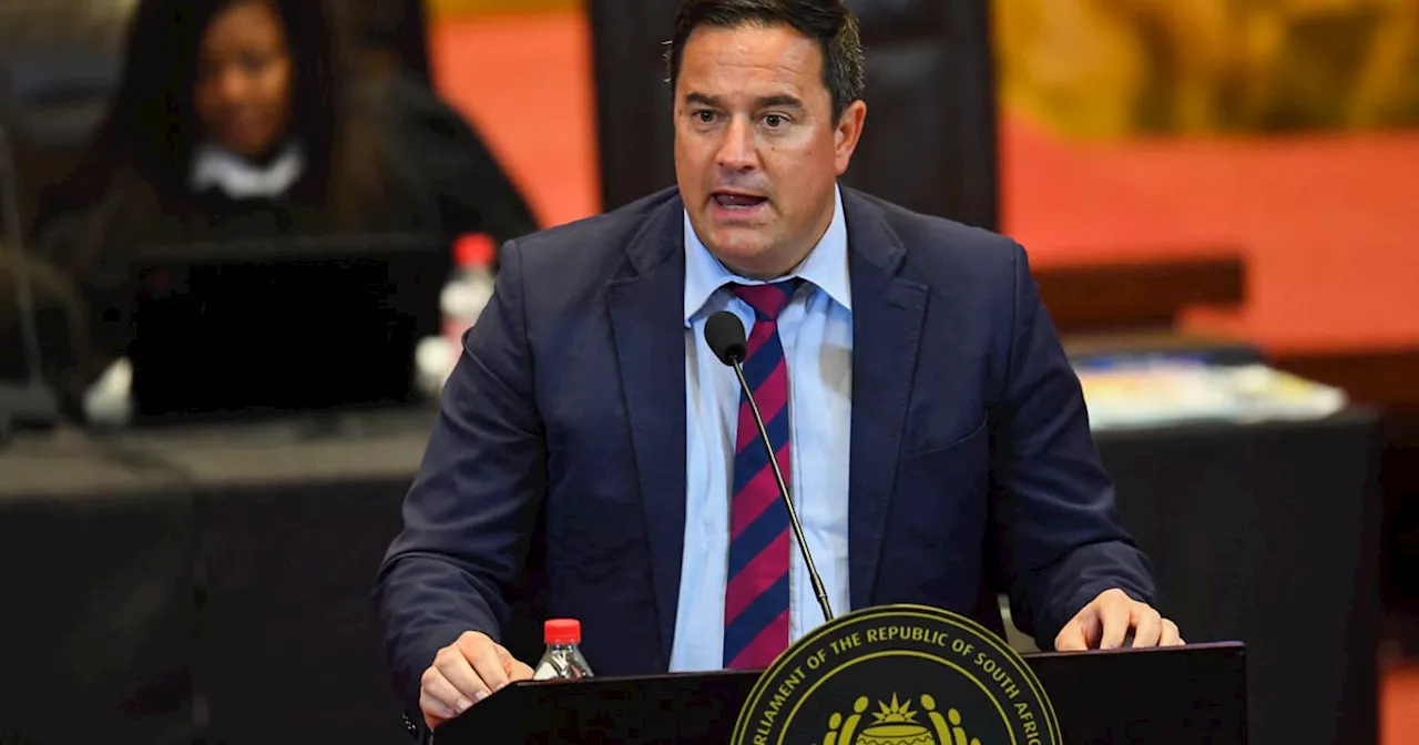 Steenhuisen calls on SAns to rally behind GNU Cabinet