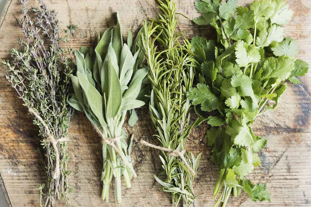 Keep Delicate Herbs Fresh for ‘Well Over a Month’ With This Genius $14 Amazon Find