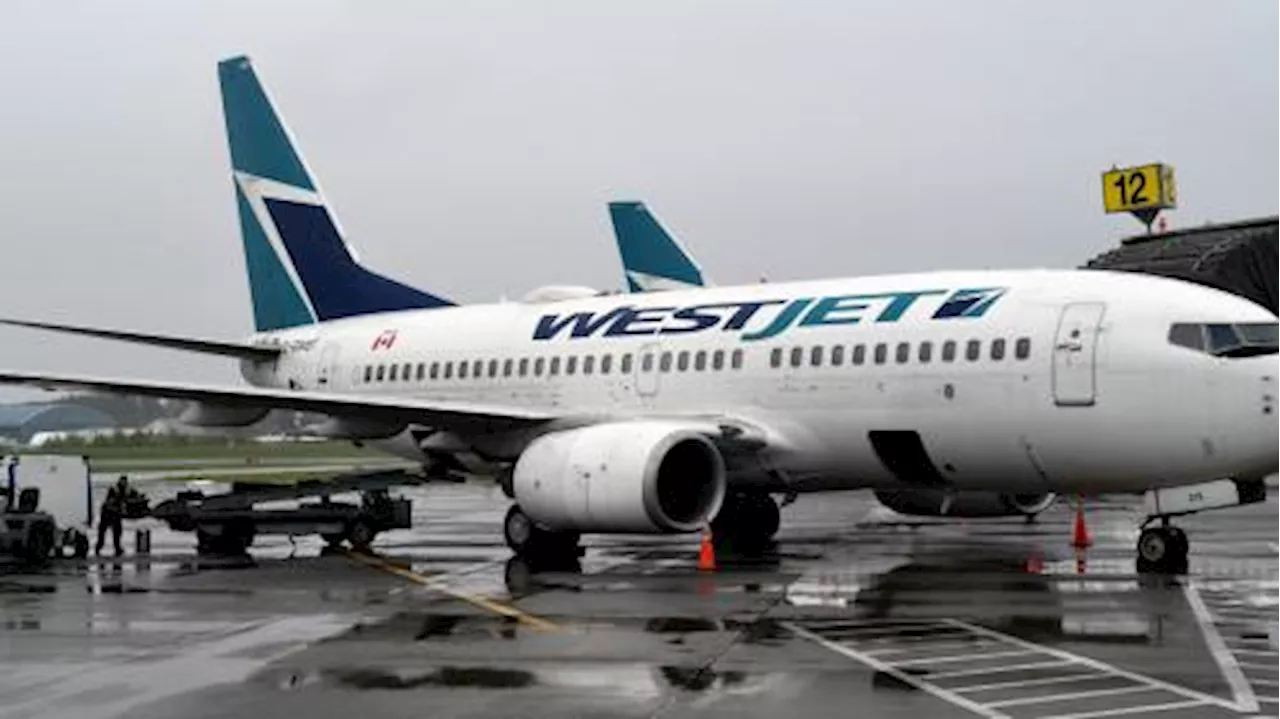 WestJet strike results in over 800 flight cancellations | Watch News Videos Online