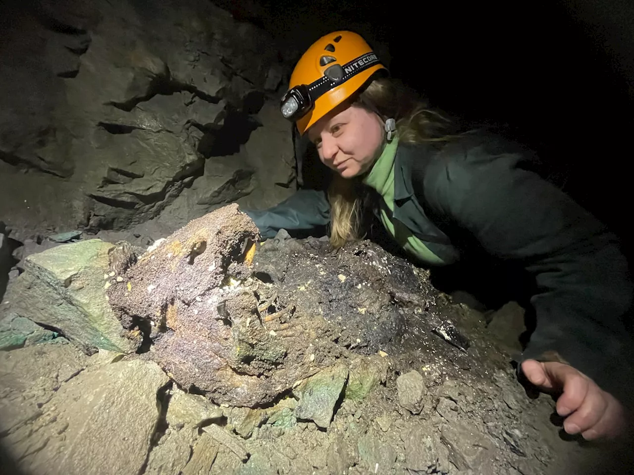 Inside a New Brunswick mine, a beaver’s cadaver sprouts new life