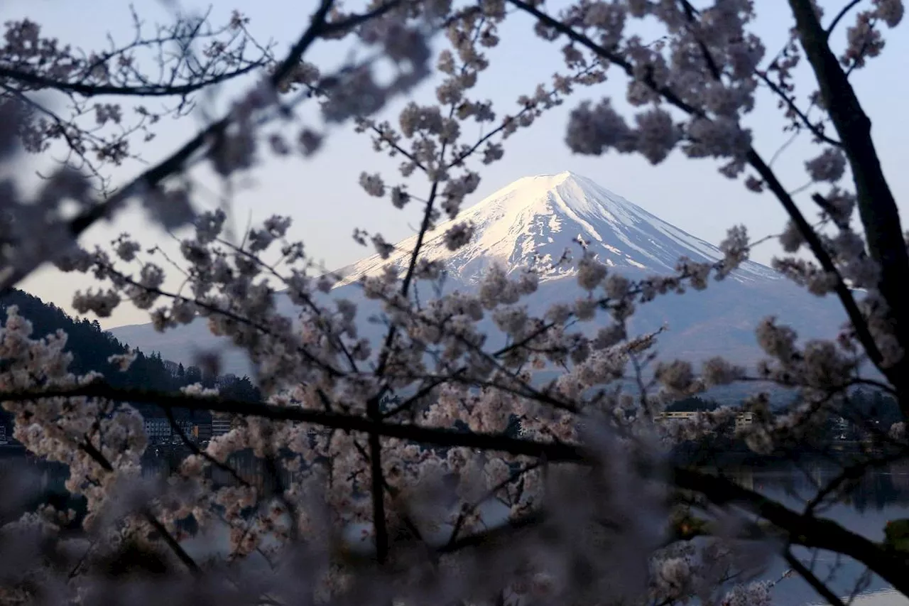 Japan imposes new fees on Mount Fuji climbers to limit tourists