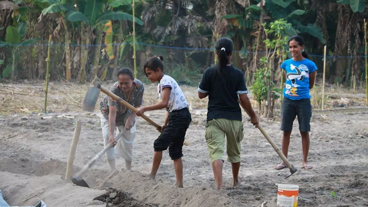 Kaum “Ata” yang Terus Tertawan Kekuasaan Kaum “Maramba” di Sumba, NTT