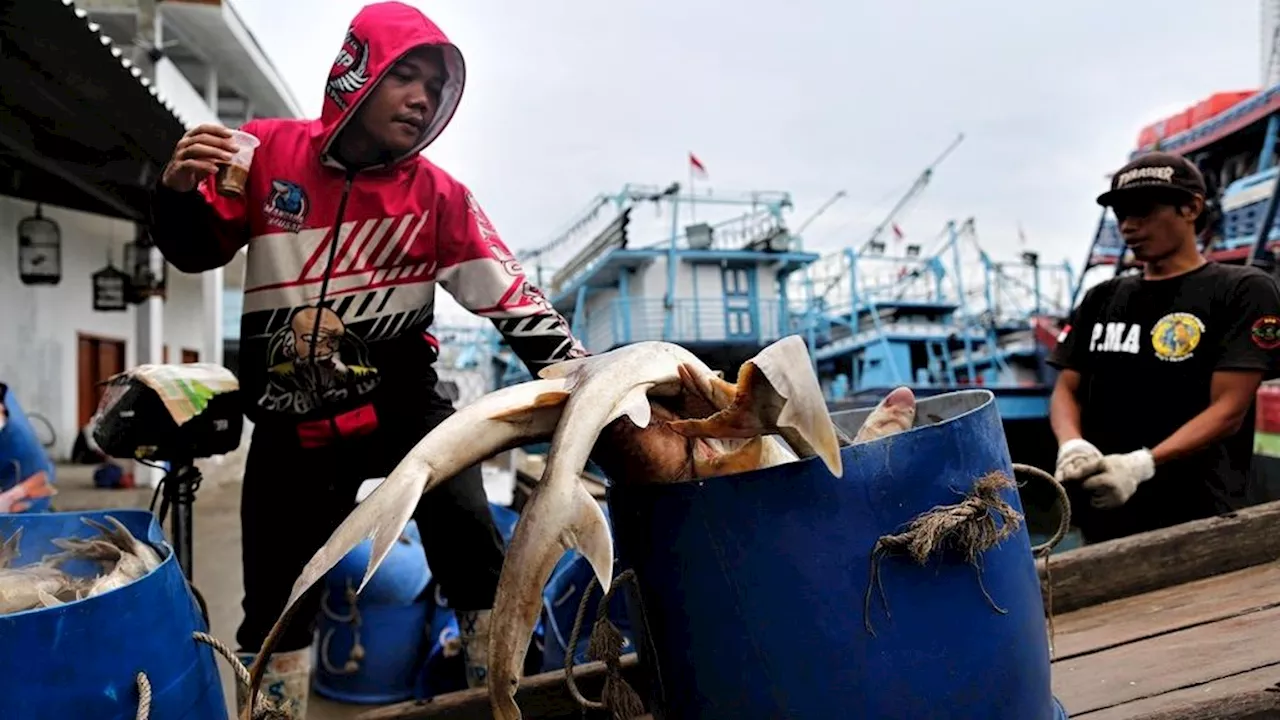 Uji Coba Penangkapan Ikan Terukur Masih Terkendala