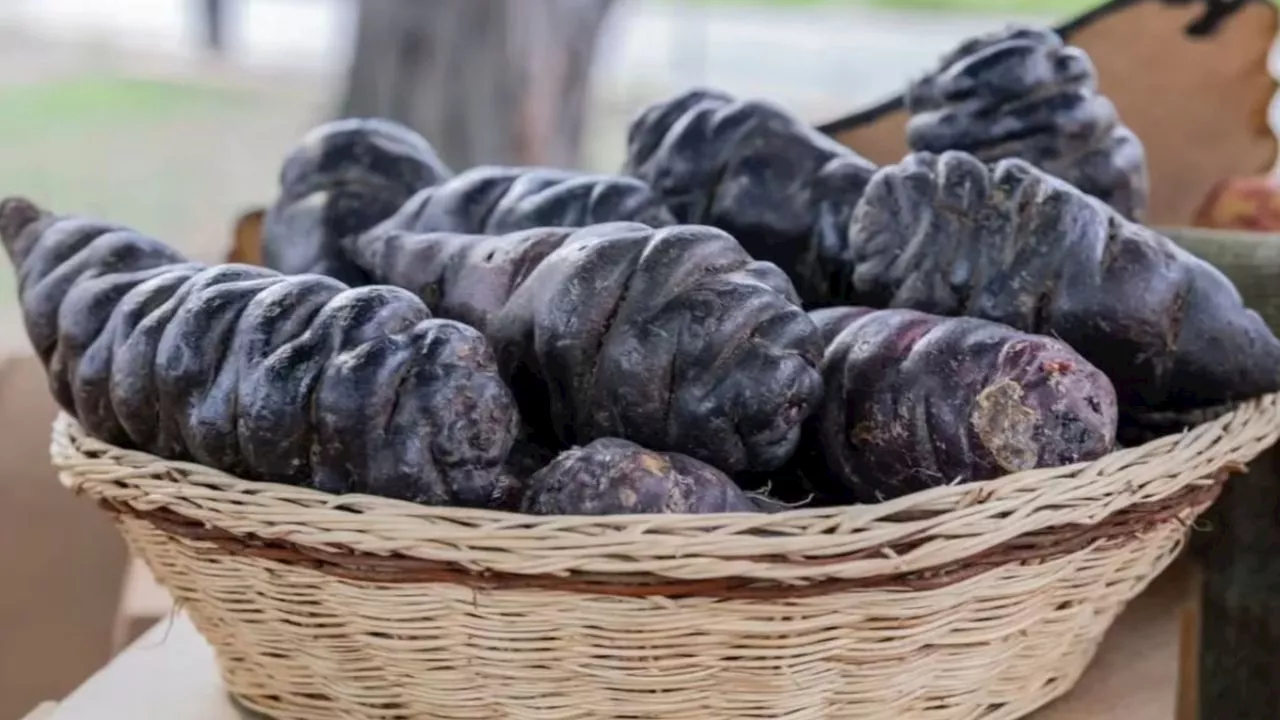 El oro negro: este superalimento es ideal para personas de 50 años o más; protege el corazón y combate el envejecimiento